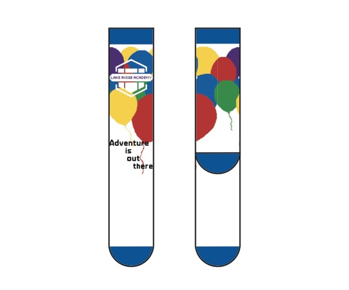 Lakeridgeacademy campaignpage sockviews