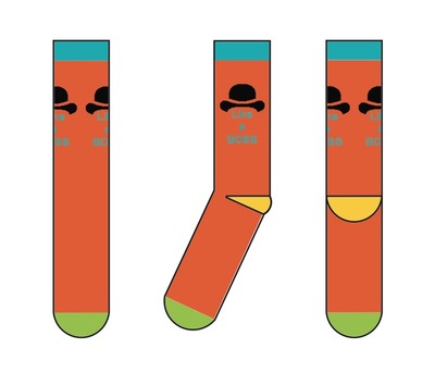 C 146 campaignpage sockviews 4