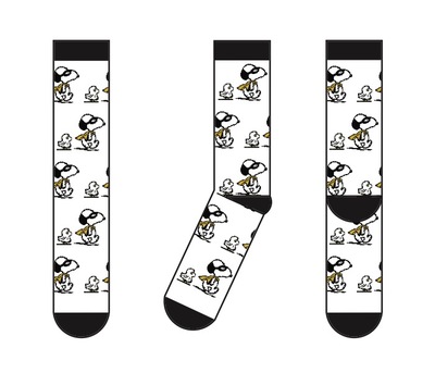 C 1009 campaignpage sockviews 4