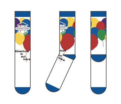 Lakeridgeacademy campaignpage sockviews 4