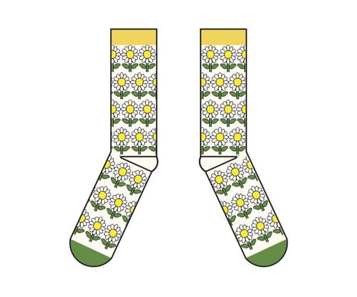 Garden daisy campaign 3