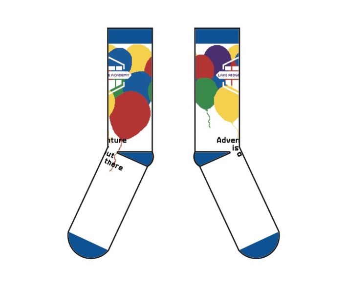 Lakeridgeacademy campaignpage sockviews 3